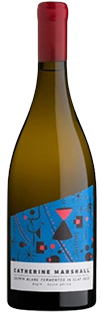 Chenin Blanc Fermented In Clay 2024 bottle