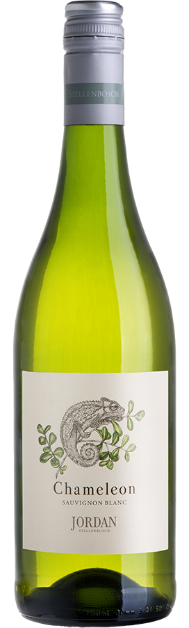 Chameleon Sauvignon Blanc bottle