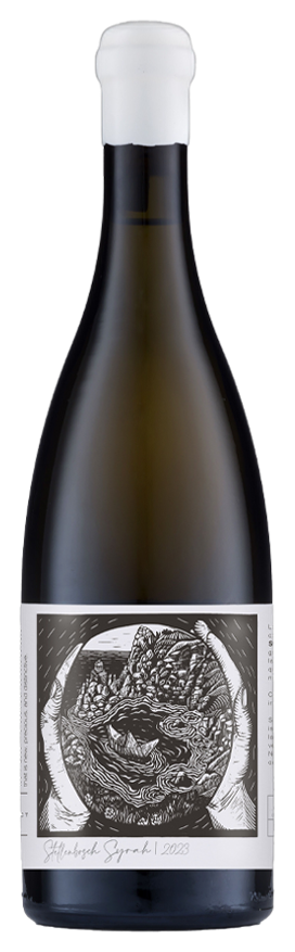 Project Z Stellenbosch Syrah bottle