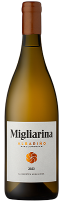 Stellenbosch Albariño 2023 bottle