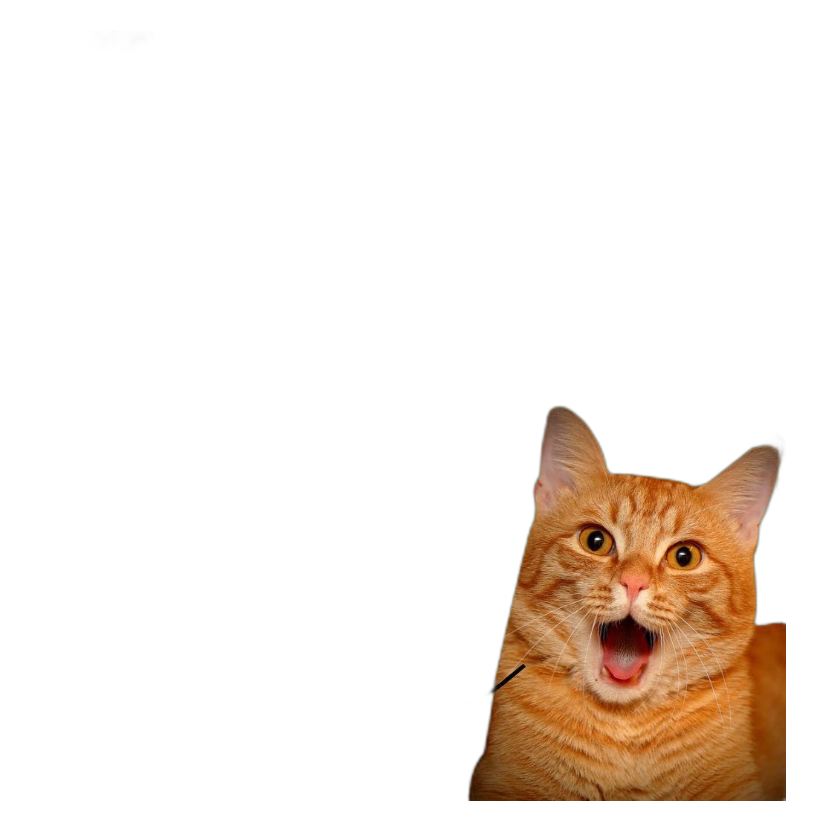 GemmerKat Ginger Beer bottle