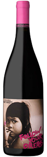 Baby Bandito Follow Your Dreams 2025 bottle