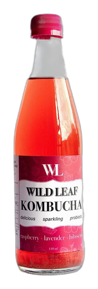 Wild Leaf Brew Kombucha Berry bottle