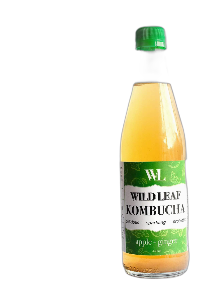 Wild Leaf Brew Kombucha Ginger bottle